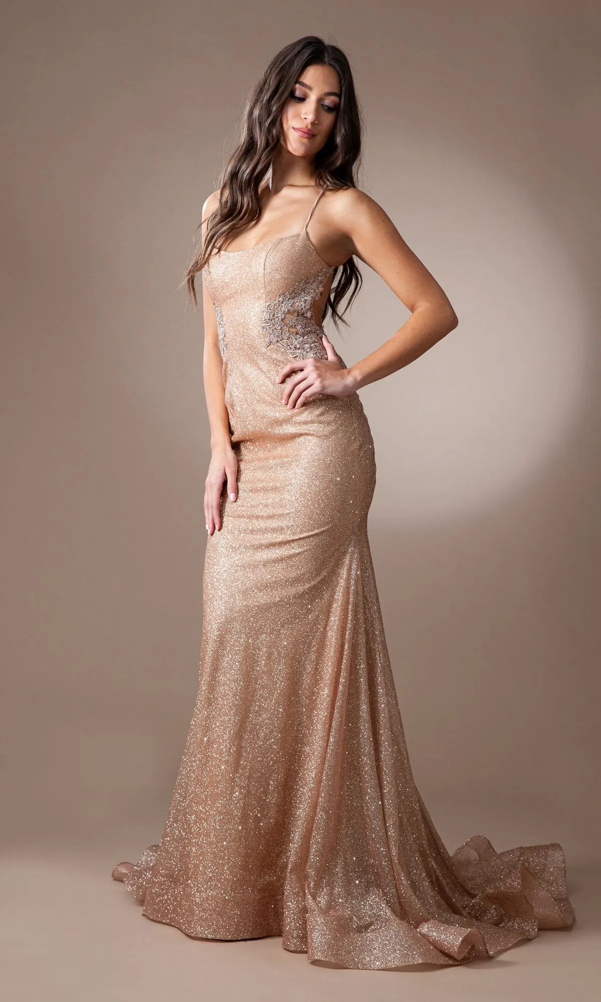 Amelia Couture Long Formal Dress tm1014