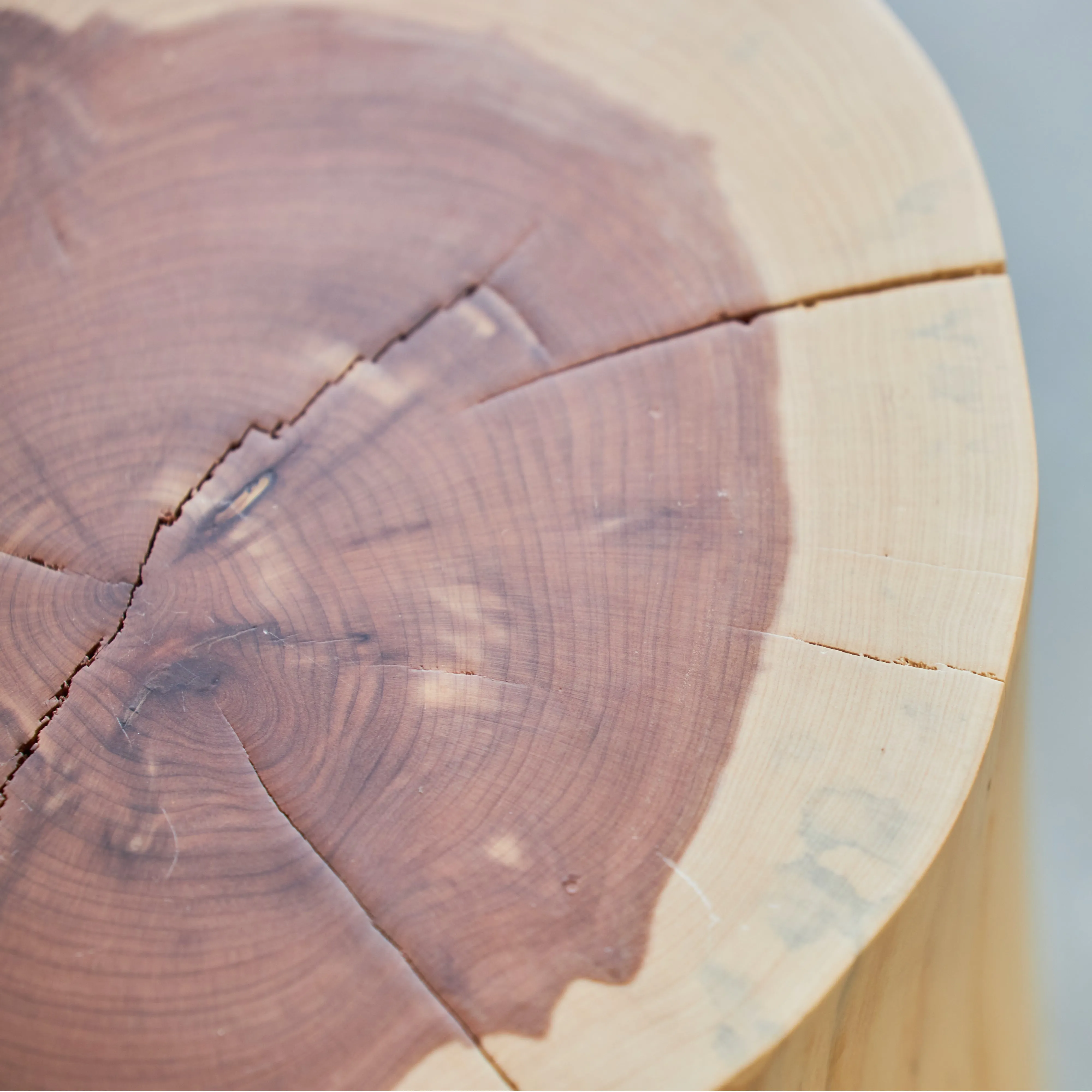 Cedar Stump Side Table